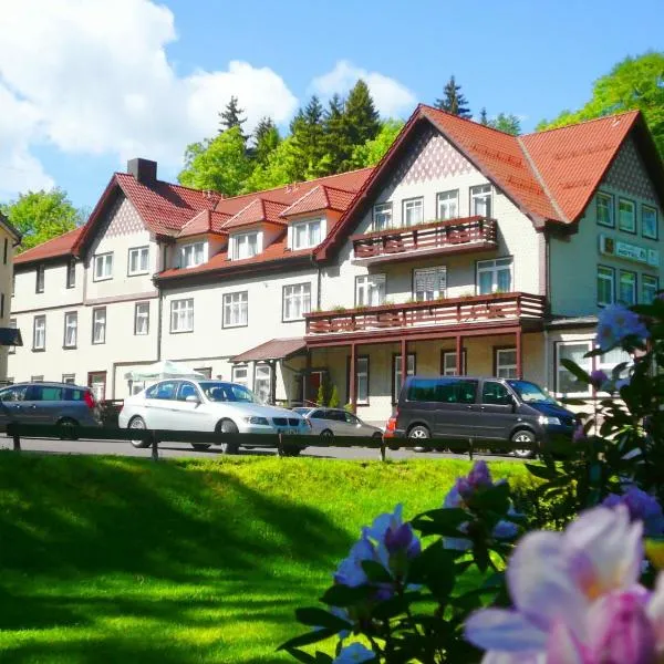 Friedrichroda में, होटल Waldhotel Friedrichroda