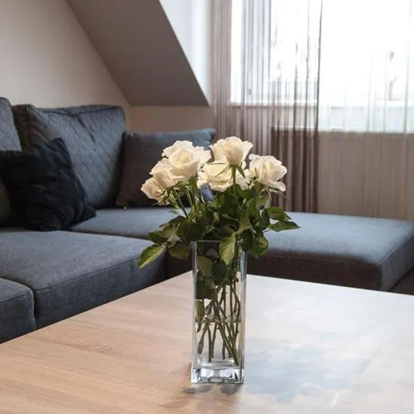 Apartamenty Giżycko, hotel Giżycko