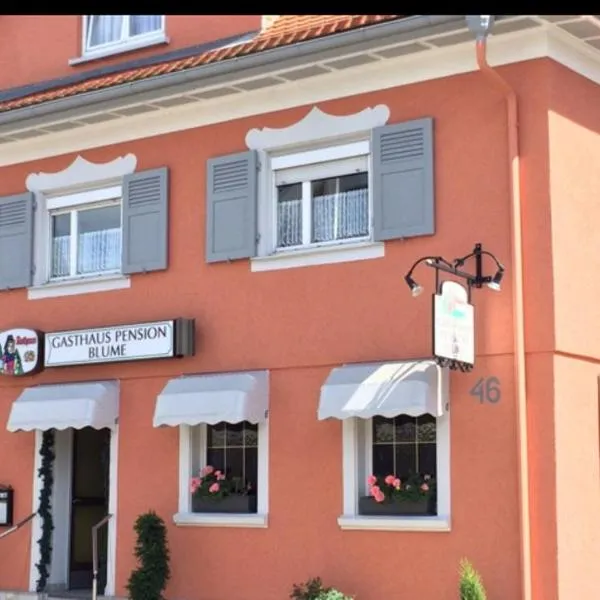 Gasthaus&Pension Blume Ötigheim, ξενοδοχείο σε Ötigheim