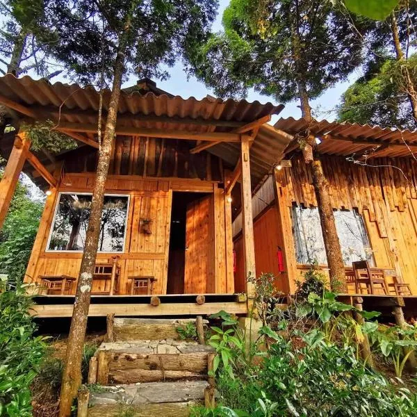 Sapa Jungle Homestay, hotel in Sa Pa