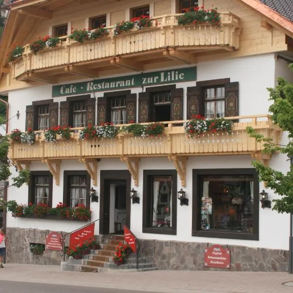 Gästehaus Zur Lilie, Hotel in Schönwald