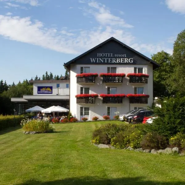 Hotel Winterberg Resort, hotel en Winterberg