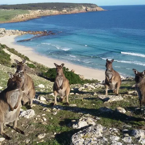 Waves & Wildlife Cottages Kangaroo Island, hotel v destinácii Stokes Bay