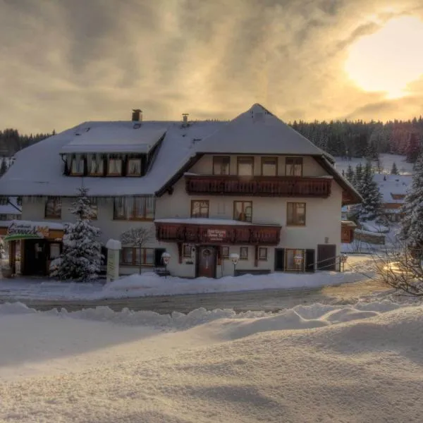 Landhotel und Apartments Sonneck, hotel u gradu Feldberg