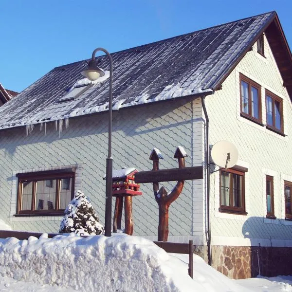 Ferienwohnung Peter Engelhardt, Hotel in Suhl