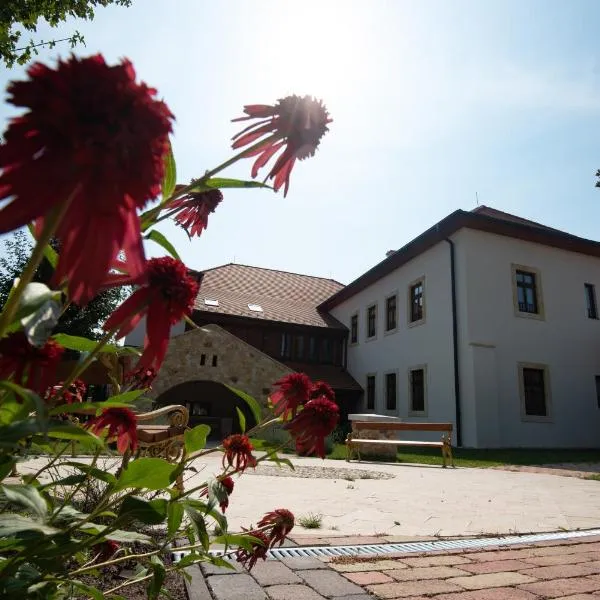 Grossmann Ház, hotel v mestu Tokaj