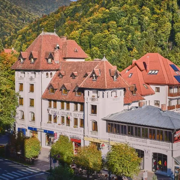 Hotel Rina Cerbul, hotel v destinaci Sinaia