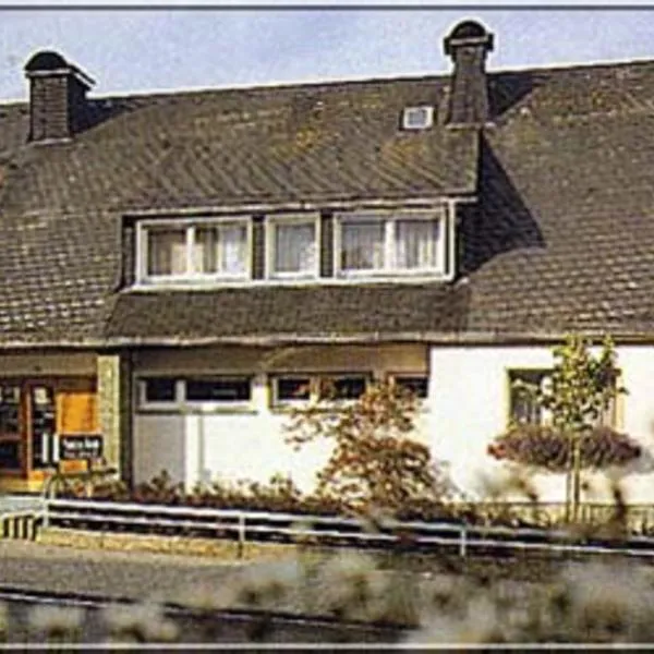 Pension Braun, hotel in Hallenberg