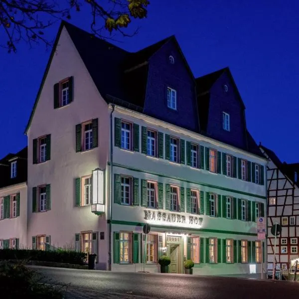 Hotel Nassauer Hof, khách sạn ở Limburg an der Lahn