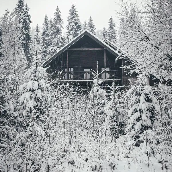 Chalet Shepit Karpat, מלון Поляниця