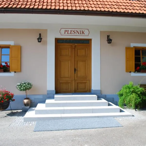 Farm Stay Rotovnik - Plesnik, hotell Slovenj Gradec