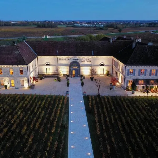 Chateau de Chassagne-Montrachet, hotel v mestu Chagny