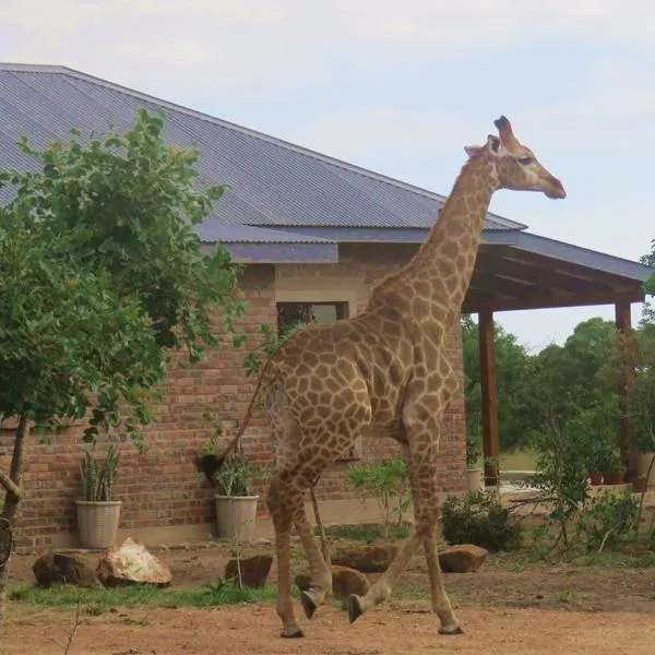 Mkhiweni Villa at Dombeya Wildlife Estate, hotel v destinácii Mbabane