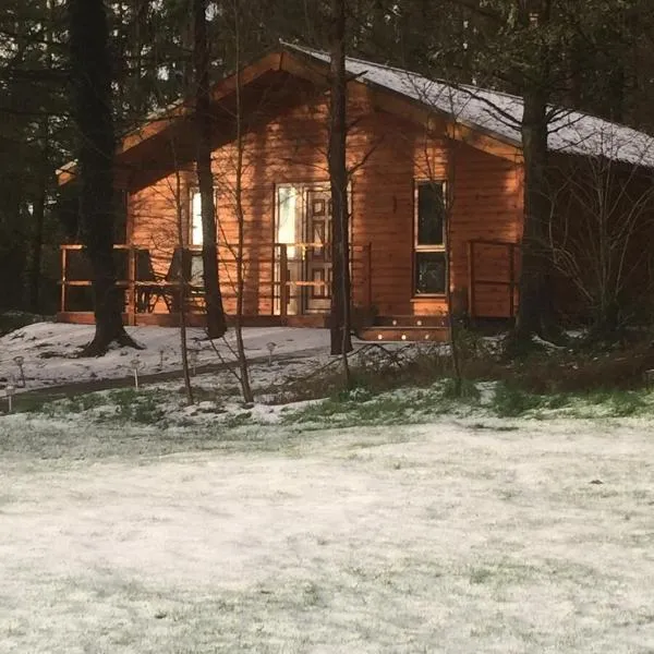 Butterfly cabin, отель в Лимерике