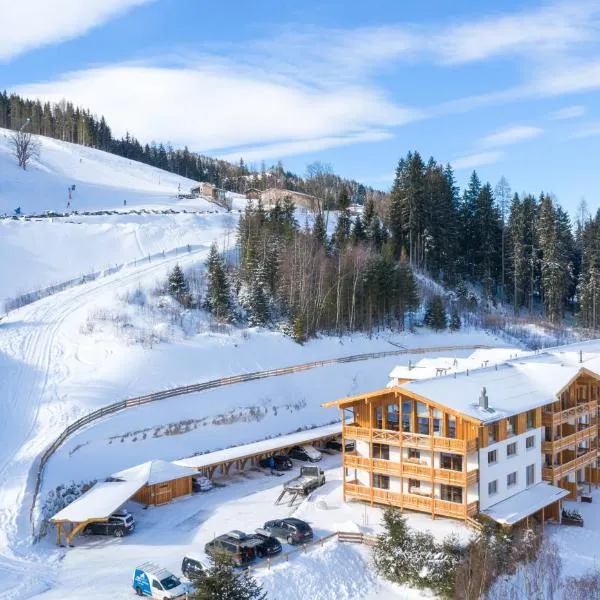 Skylodge Alpine Homes, готель у місті Гаус-ім-Енншталь