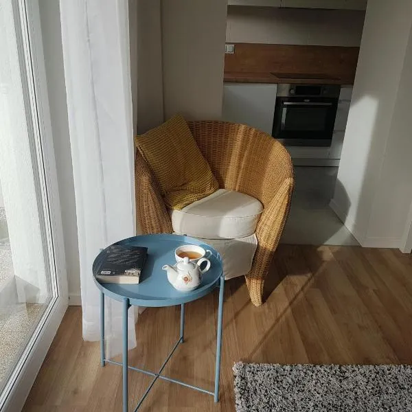 Apartament Jasińskiego z ogrodem, hotel a Piaseczno