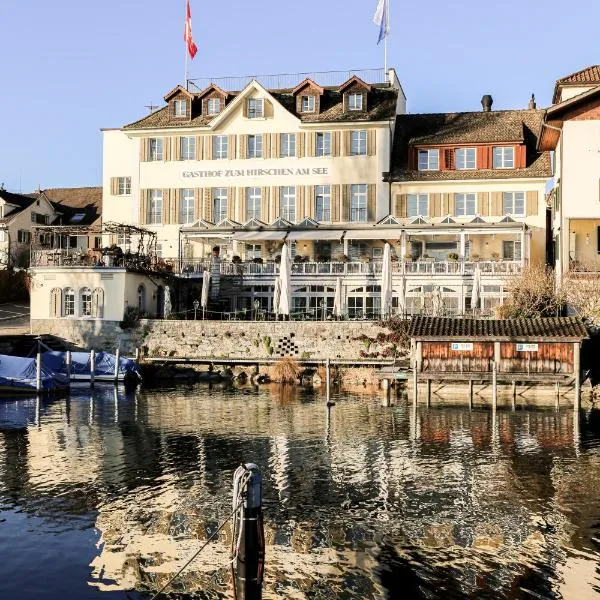 Hotel Hirschen am See, hotel en Zug