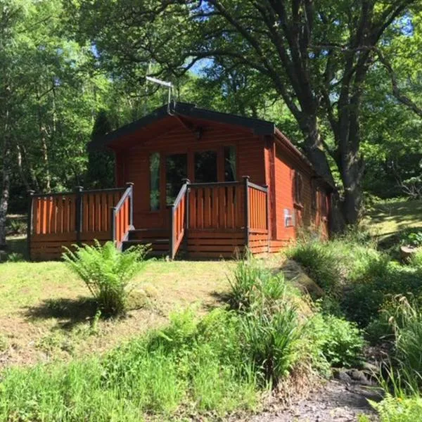 L11 - The Harlech Lodge with Hot Tub, hotel i Bethesda