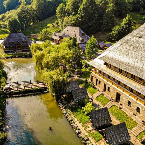 Păstrăvăria Alex, hotel em Ocna Şugatag