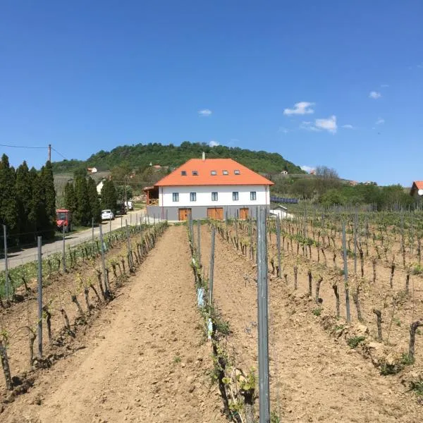 Somló Kolonics Kúria, hotell Somlóvásárhely