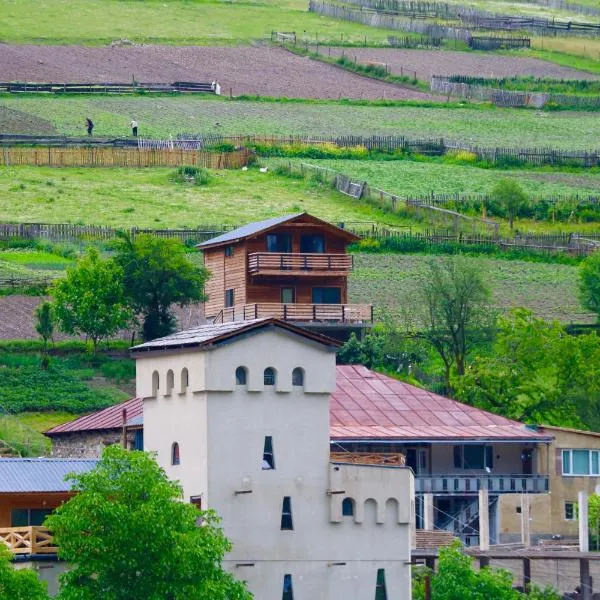 Villa Dabderr Mestia, готель у місті Местія