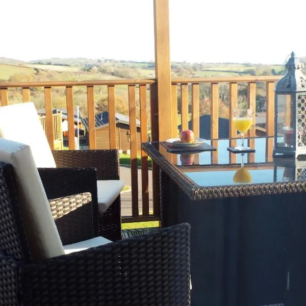 luxury timber pet friendly lodge with private hot tub 2 to 6 guests, outstanding views nr Paignton, hotel di Paignton