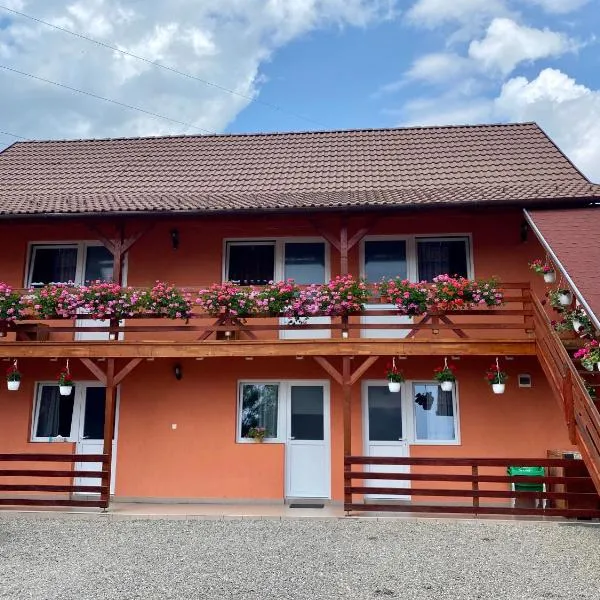 Casa Gabriela, hotel u gradu Sovata