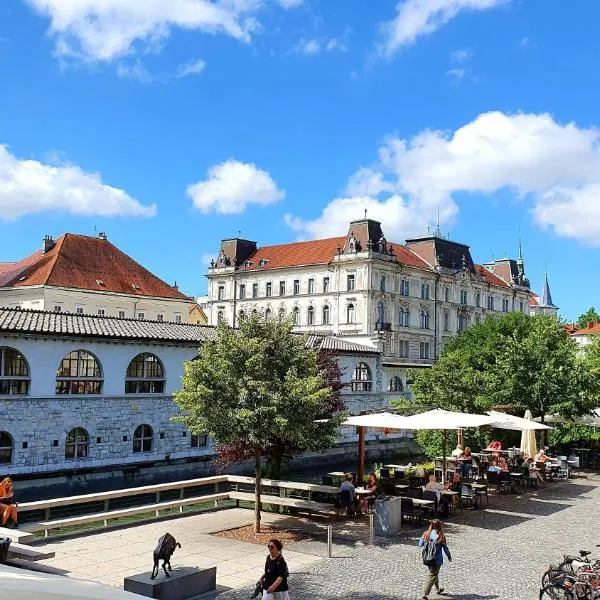 Ljubljana में, होटल Petkovšek Rooms and Apartments