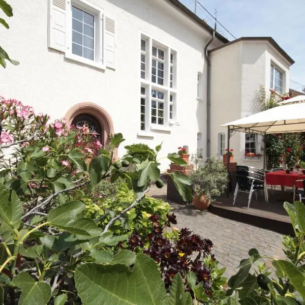 Bio-Weingut, Gästehaus und Kräuterhof, hotel di Worms