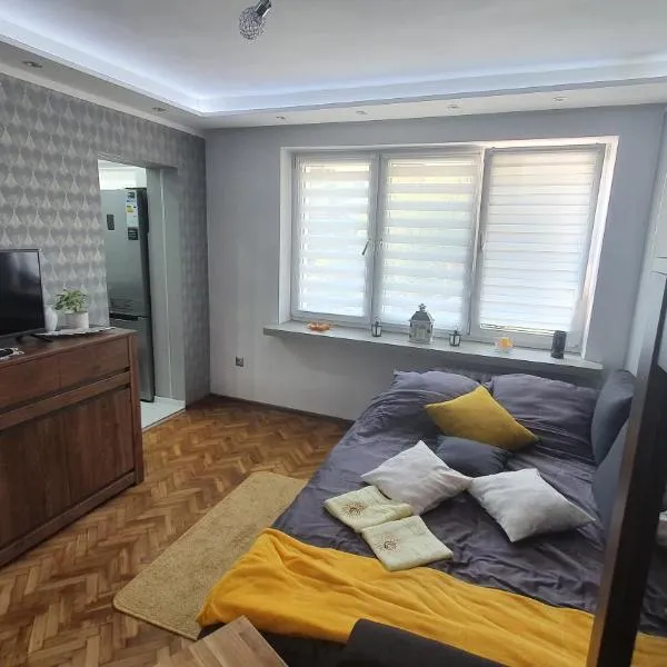 Apartament Park Saski, Hotel in Sandomierz