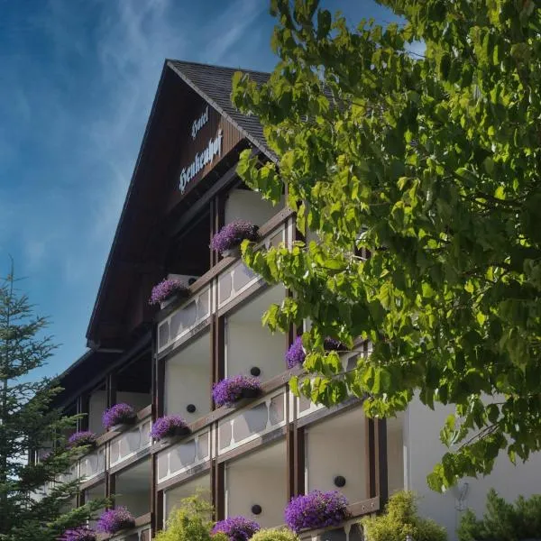 Landhotel Henkenhof Willingen, viešbutis Vilingene