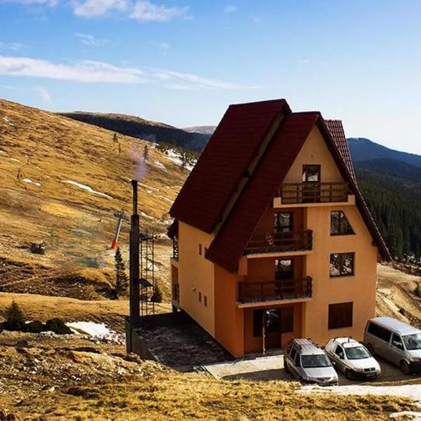 Cabana Andreea Telescaun, Hotel in Ranca