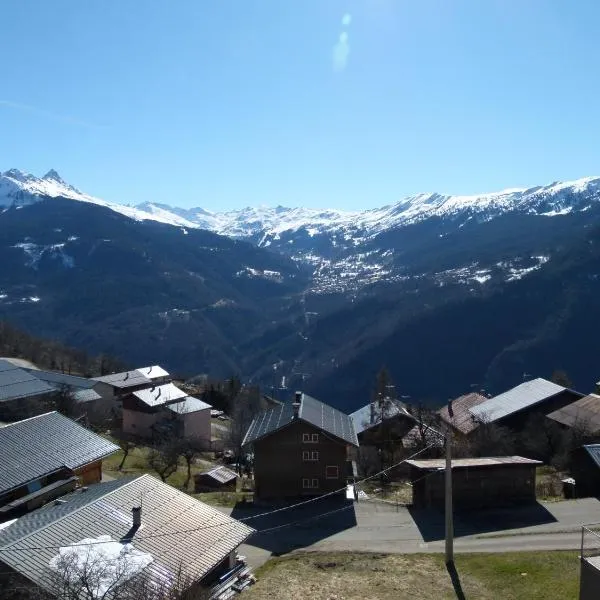 Chalet de la Yodine, ξενοδοχείο στο Val Thorens