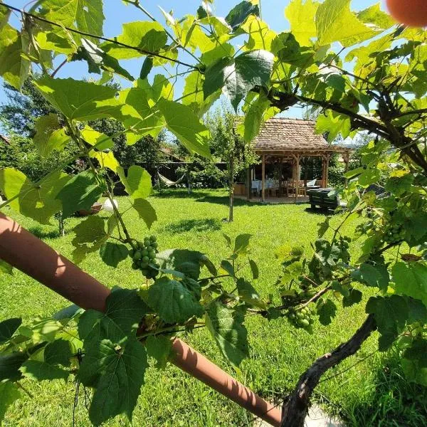 Valchid Guest House, hotel en Mediaş