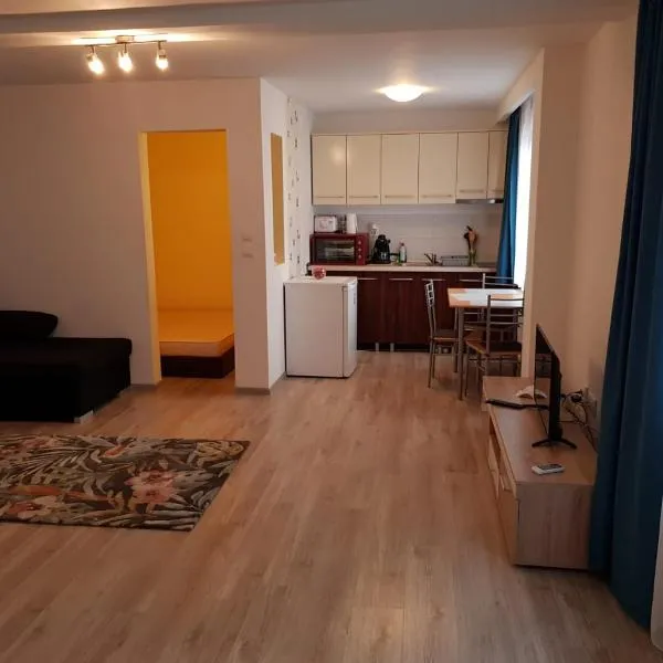 Apartament 1 Central, hotel v destinaci Târgu-Mureş