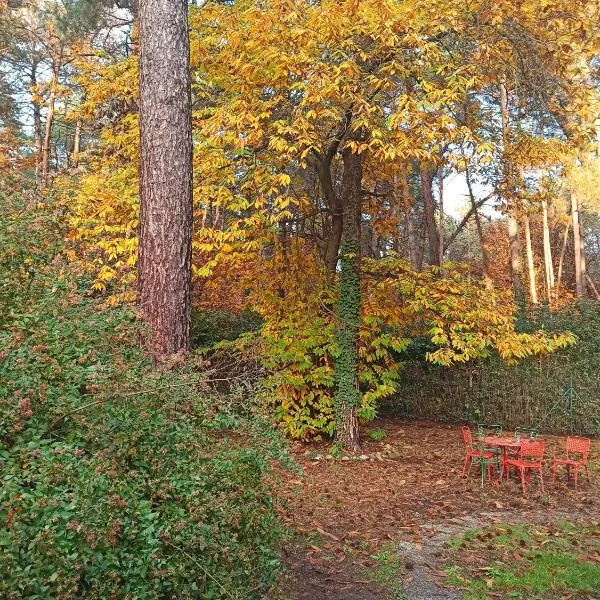 l'oasi nel bosco, hotel din Somma Lombardo