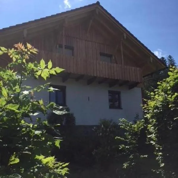 Schweizer Häusl, hotel v mestu Bayerisch Eisenstein