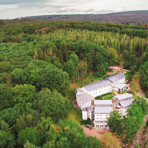 TaunusTagungsHotel, hotel en Friedrichsdorf