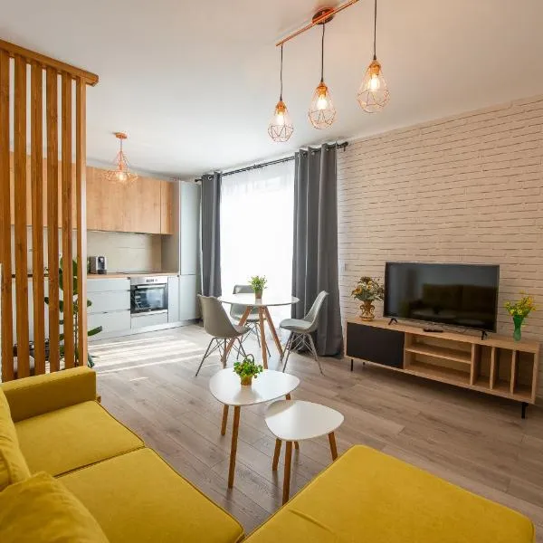 ART Apartment, hotel v destinaci Târgu-Mureş