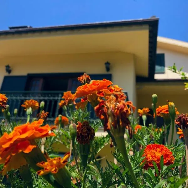 Casa São Simão, hotel u gradu Barselos