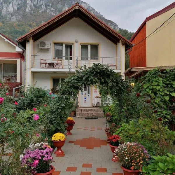 Pension Eden, hotel a Băile Herculane