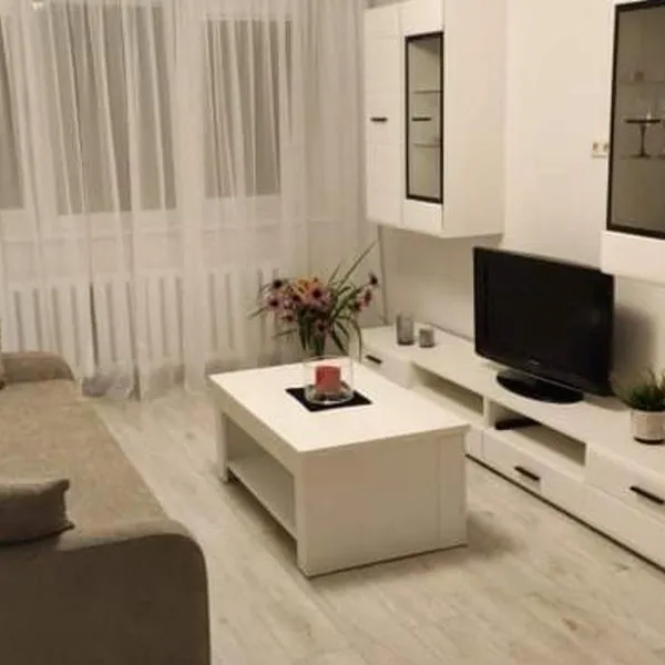 Butas miesto centre/ Apartment in the city center، فندق في Šiauliai