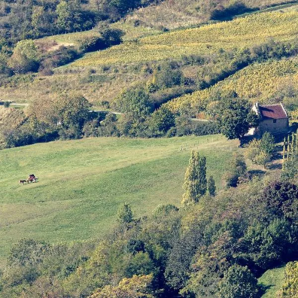 Les Billardes - le gite - Jura, hotel u gradu Cuiseaux