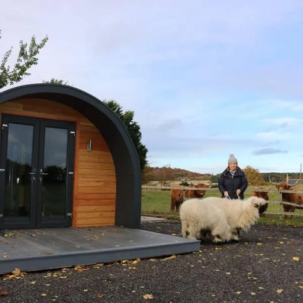 Glampods Glamping Pod - meet Highland Cows and Sheep Elgin, хотел в Елджин