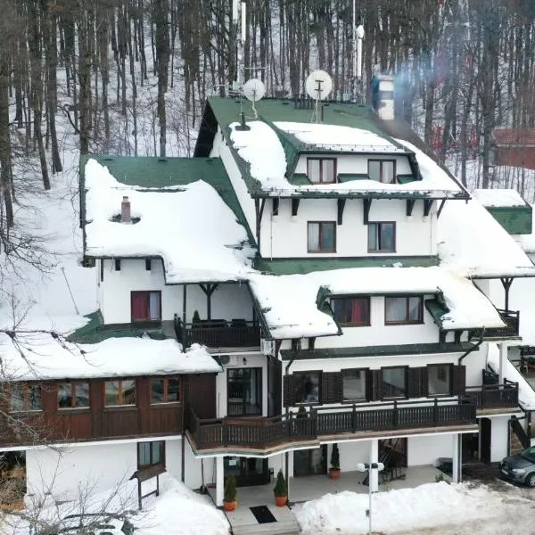 Guesthouse Babin Zub, hotel v destinácii Crni Vrh