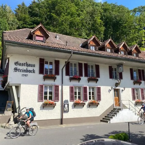 Historic Hotel Steinbock, hotel v mestu Wilderswil