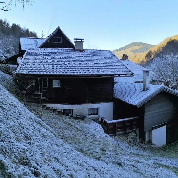 Obere Alpenhütte in Lend neben der Salzach，位于上柯尼希山麓米尔巴赫的酒店