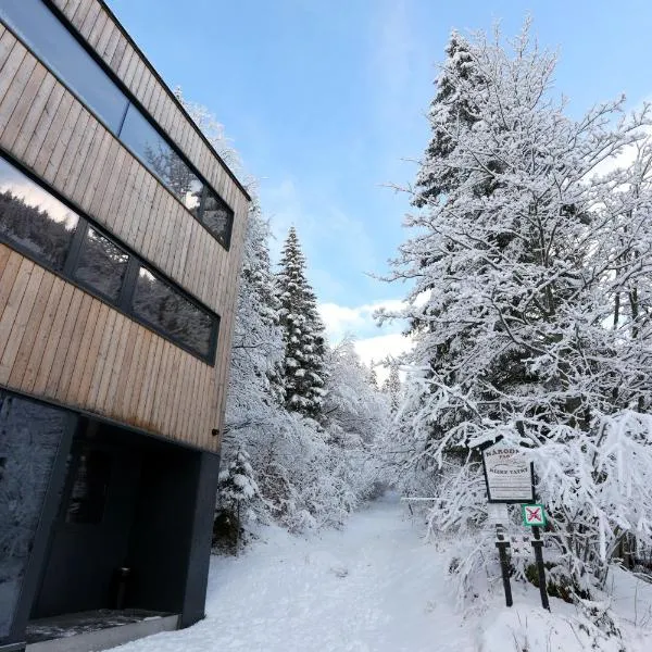 Chata Zázvor, hôtel à Demänovská Dolina