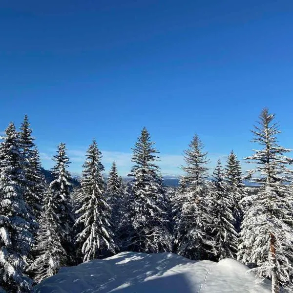 APARTMANI POLARIS JAHORINA, hotell i Jahorina