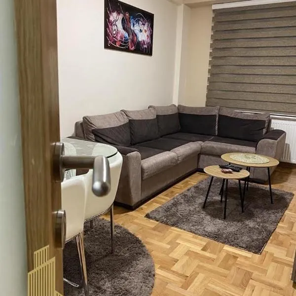 Mirkovic Lux apartman, готель у місті Ниш